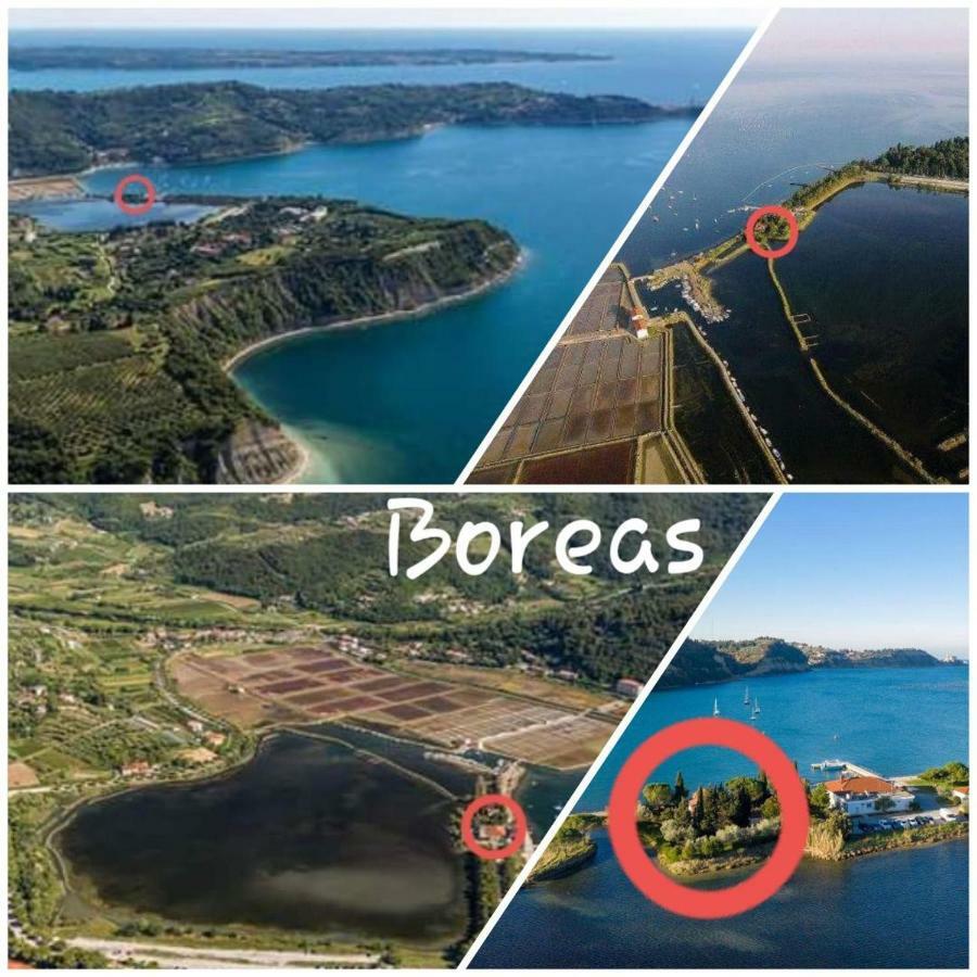Boreas *